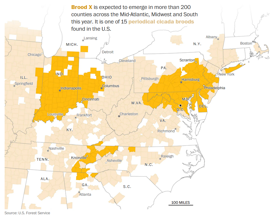 Washington Post map of Brood X cicada range, using data from U.S. Forest Service